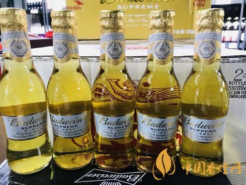 百威啤酒金尊圖片價(jià)格 百威金尊賣多少錢一瓶?