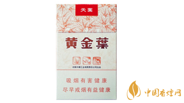 黃金葉天葉真?zhèn)卧趺幢鎰e？天葉真假如何看？
