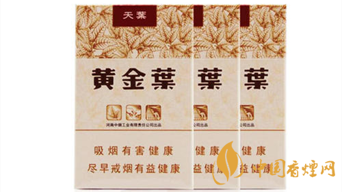 2020黃金葉天葉怎么樣？黃金葉大小天葉有什么不同