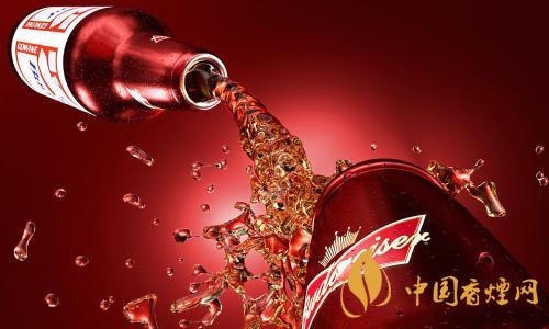 百威啤酒多少錢一瓶 百威啤酒價格一覽