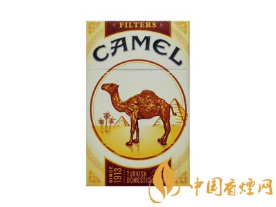 歐盟無嘴駱駝測評 趕緊來看看！