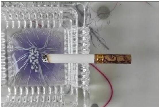 黃鶴樓漫天游，除了短貴沒別的毛病