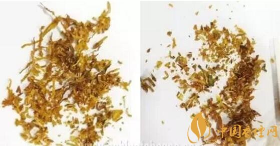 冬蟲夏草（和潤）真假鑒別，春節(jié)防止被騙