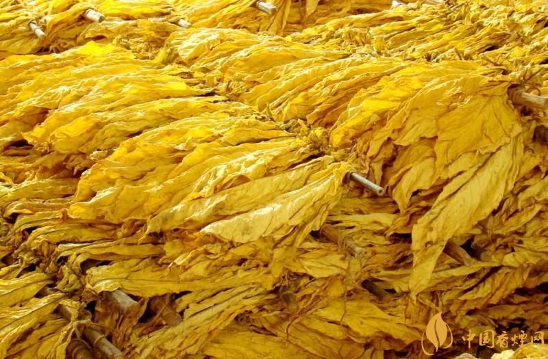 朱砂煙到底是什么煙，云煙朱砂煙有哪幾款